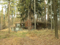 zp2011-25.jpg