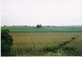 Opava_2005_16.jpg