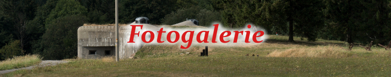 Fotogalerie