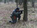 zp2011-4.jpg