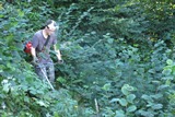 2016-1_47.JPG
