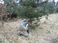 zp2011-43.jpg