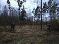 zp2011-46.jpg