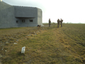 zp2011-15.jpg
